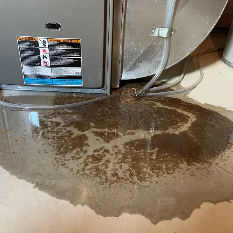 Appliance Leak Cleanup in Logan Elm Village, OH